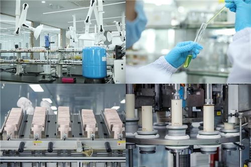 袋鼠媽媽天然國度 以創新服務與尖端技術，鑄就母嬰行業領導品牌