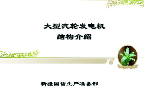 大型汽輪發(fā)電機(jī)結(jié)構(gòu)介計(jì)劃.pdf